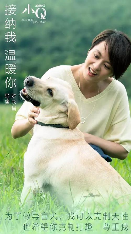 二代身份制作